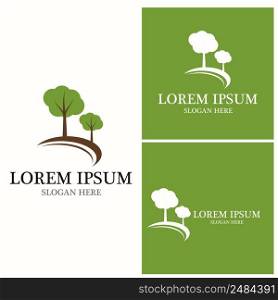 Tree icon and symbol vector template