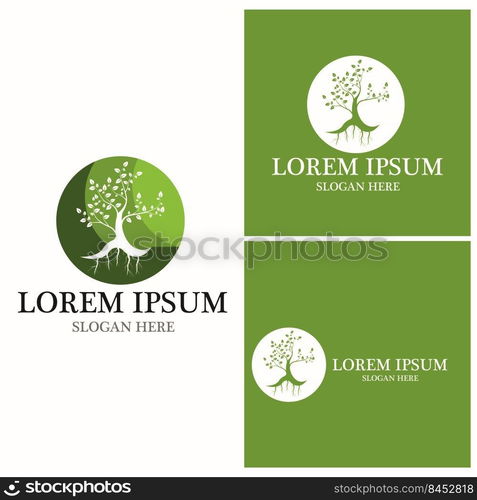 Tree icon and symbol vector template