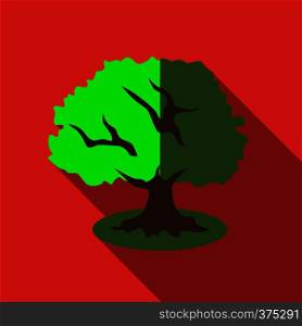 Tree icon. Flat illustration of tree vector icon for web. Tree icon, flat style