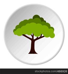 Tree icon in flat circle isolated vector illustration for web. Tree icon circle