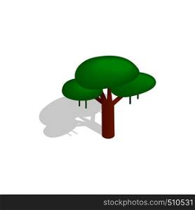 Tree icon in isometric 3d style with shadow on white background. Tree icon, isometric 3d style