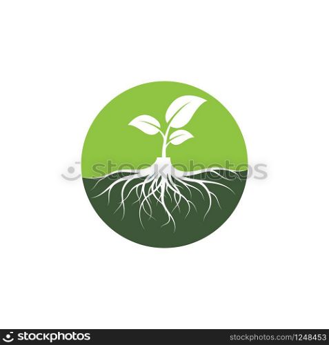 Tree icon logo illustration vector design