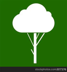 Tree icon white isolated on green background. Vector illustration. Tree icon green