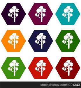 Tree icons 9 set coloful isolated on white for web. Tree icons set 9 vector