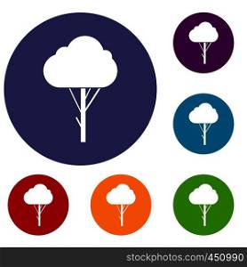Tree icons set in flat circle reb, blue and green color for web. Tree icons set