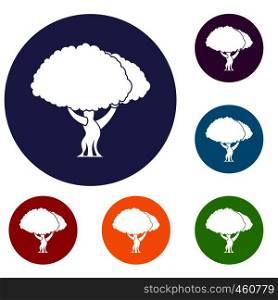 Tree icons set in flat circle reb, blue and green color for web. Tree icons set