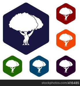 Tree icons set rhombus in different colors isolated on white background. Tree icons set