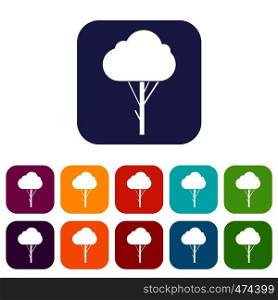 Tree icons set vector illustration in flat style In colors red, blue, green and other. Tree icons set
