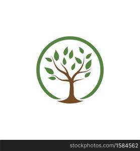 Tree illustration nature logo template vector design