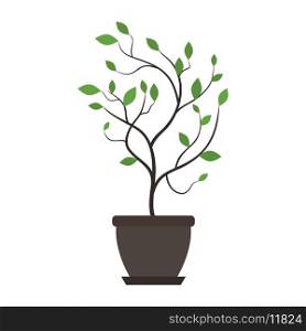 Tree in a pot. Vector illustration