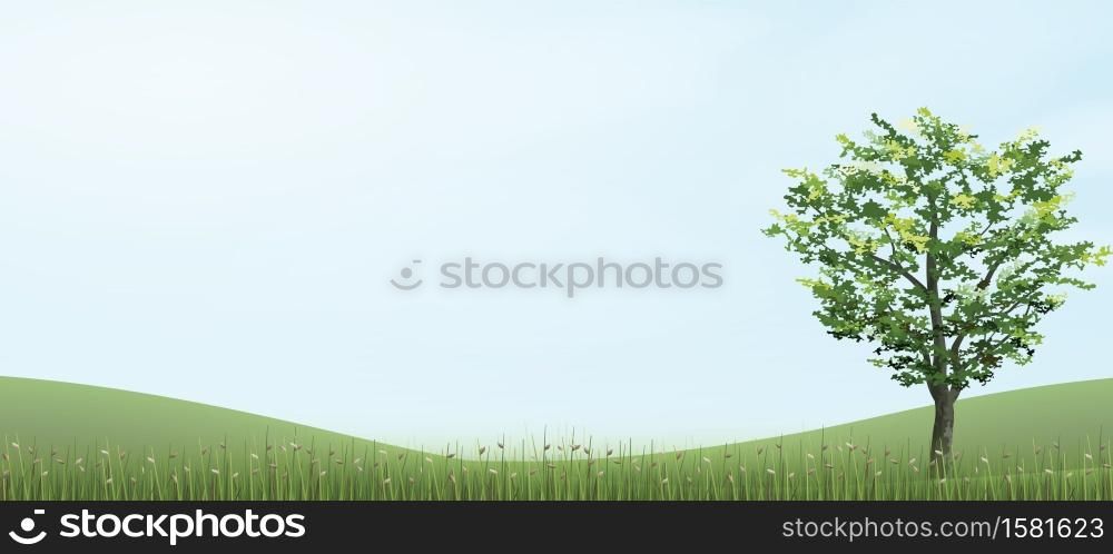Tree in green grass hill area with blue sky. Vector illustration.