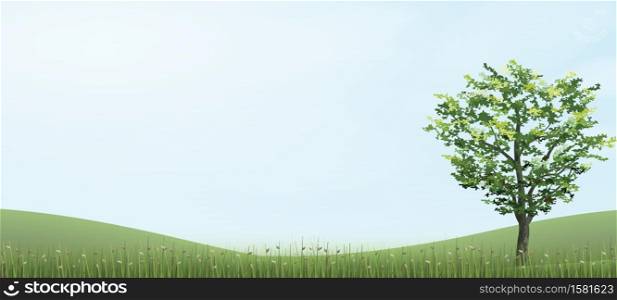 Tree in green grass hill area with blue sky. Vector illustration.