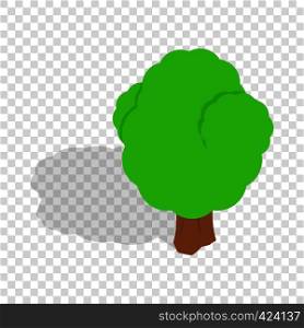 Tree isometric icon 3d on a transparent background vector illustration. Tree isometric icon