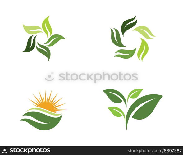 Tree leaf Logos nature element vector icon