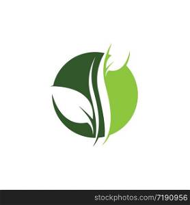 Tree leaf symbol vector icon illustration