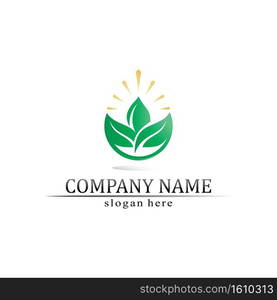 Tree leaf vector and green logo design friendly concept 