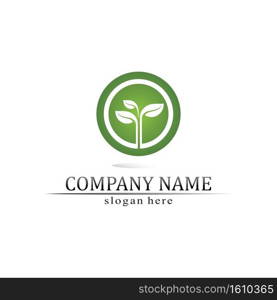 Tree leaf vector and green logo design friendly concept 