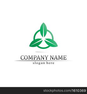 Tree leaf vector and green logo design friendly concept 