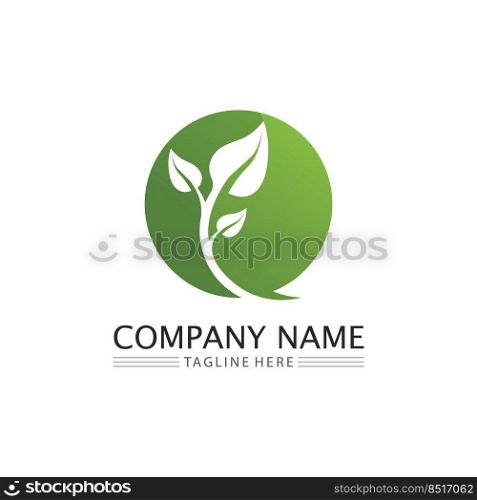 Tree leaf vector and green logo design friendly concept 