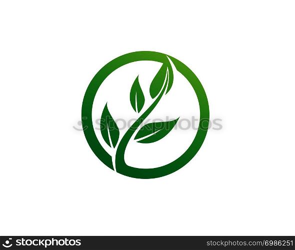 Tree Leaf Vector icon Illustration design template - Vector