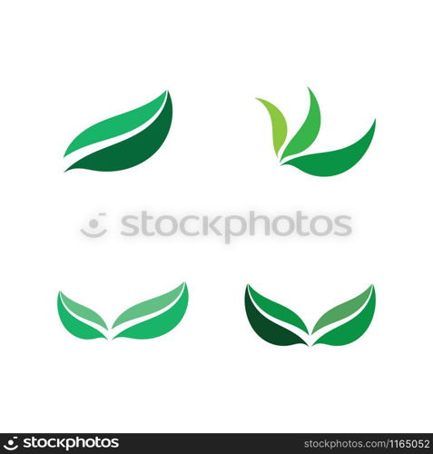 Tree leaf vector logo design, echo-friendly concept.