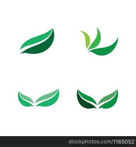 Tree leaf vector logo design, echo-friendly concept.