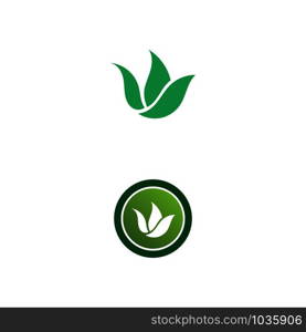 Tree leaf vector logo design eco friendly concept