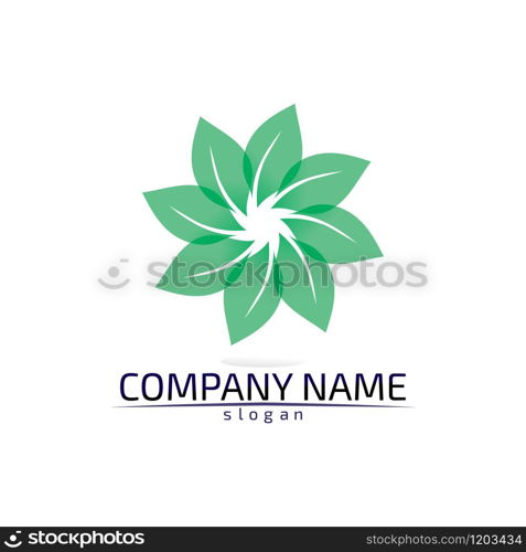 Tree leaf vector logo design eco friendly concept