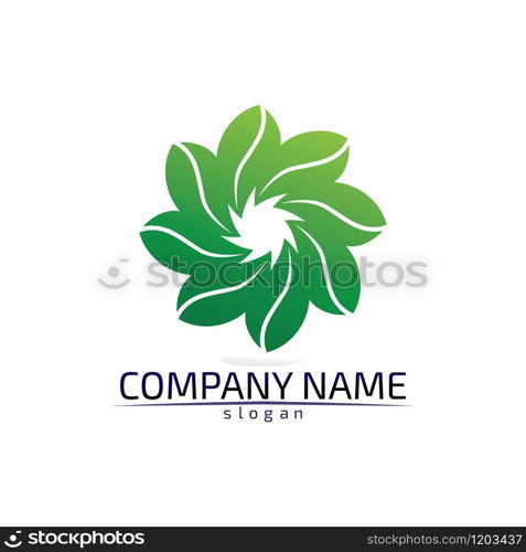 Tree leaf vector logo design eco friendly concept