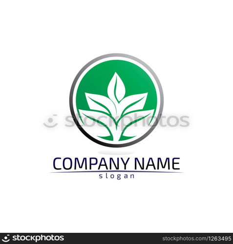 Tree leaf vector logo design eco friendly concept