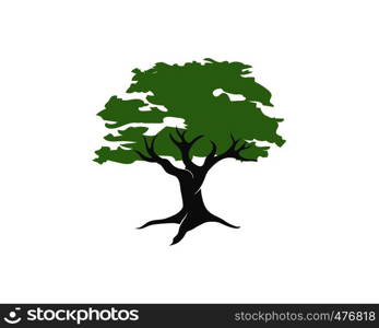 Tree leaf vector logo design, eco-friendly concept