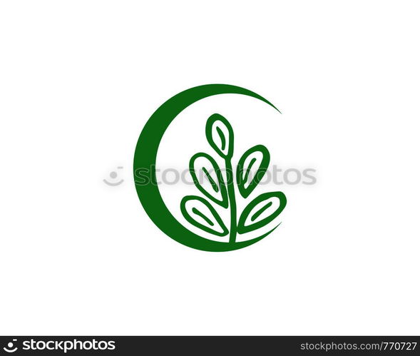 Tree leaf vector logo design, eco-friendly concept.