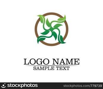 Tree leaf vector logo design, eco-friendly concept.