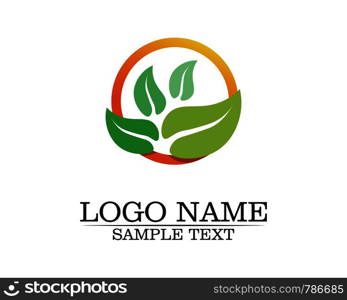 Tree leaf vector logo design, eco-friendly concept.