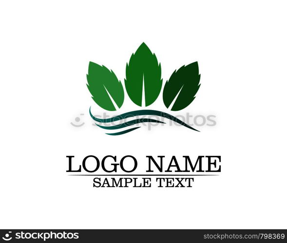 Tree leaf vector logo design, eco-friendly concept.