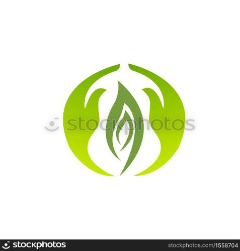 Tree leaf vector logo design, eco-friendly concept. - Copy