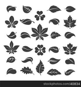 Tree leaves black silhouettes. Tree leaves silhouettes. Vector leaf set isolated on white background