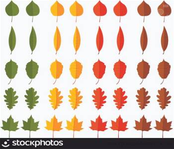 Tree leaves collection in different seasons