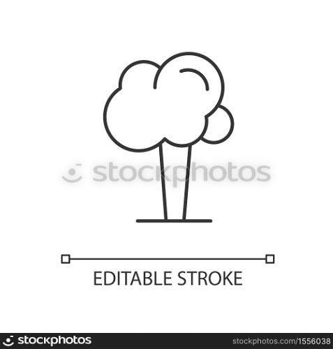 Tree linear icon. Oak with leaves. Plant for gardening care. National park. Maple tree. Thin line customizable illustration. Contour symbol. Vector isolated outline drawing. Editable stroke. Tree linear icon