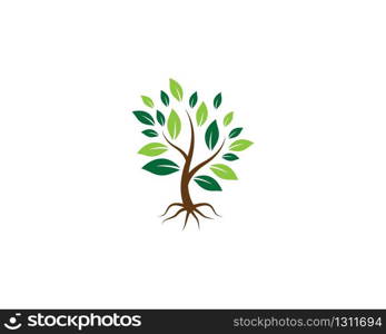 Tree logo template vector icon illustration design