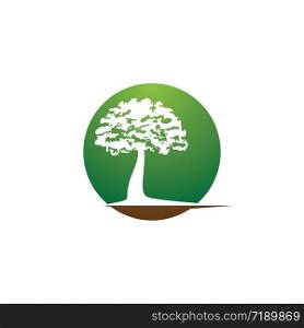 Tree logo template vector icon illustration design