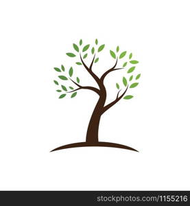 Tree logo template vector illustration