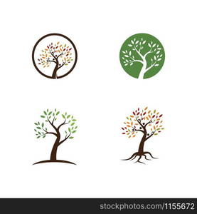 Tree logo template vector illustration