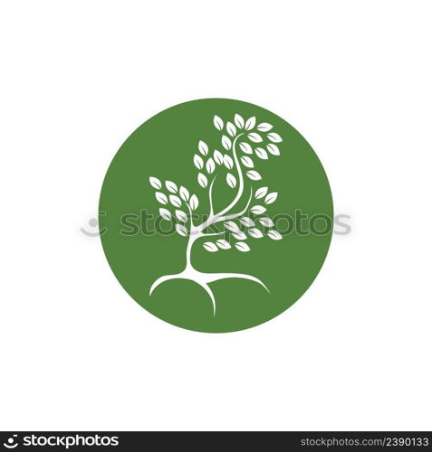 Tree logo vector icon illustration design template