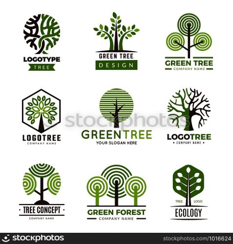 Tree logotypes. Eco green symbols wood stylized trees plants vector logo. Illustration of eco wood tree, ecology organic logotype. Tree logotypes. Eco green symbols wood stylized trees plants vector logo