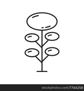 Tree of geometric oval shapes and thin lines isolated outline icon. Vector forest wood plant, landscape and garden architecture element. Spring or summer decorative tree, ecology and save nature. Abstract garden forest tree, outline park plant