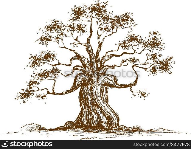 Tree on a white background, vector illustration