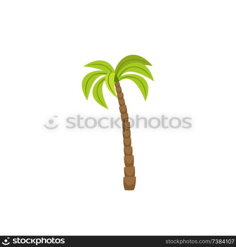 tree palm isolated icon