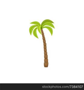 tree palm isolated icon