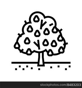 tree pear line icon vector. tree pear sign. isolated contour symbol black illustration. tree pear line icon vector illustration